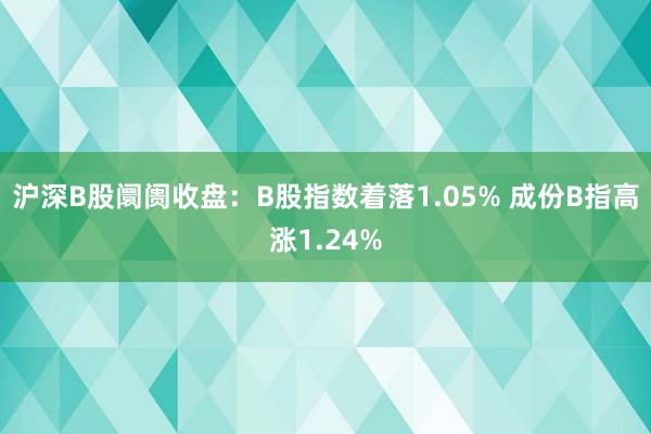 沪深B股阛阓收盘：B股指数着落1.05% 成份B指高涨1.24%
