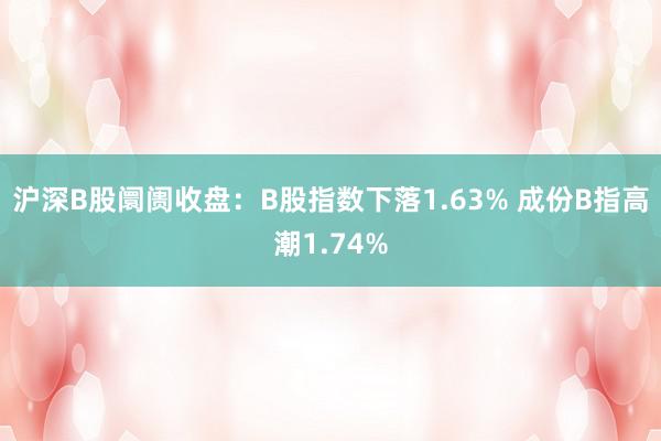 沪深B股阛阓收盘：B股指数下落1.63% 成份B指高潮1.74%